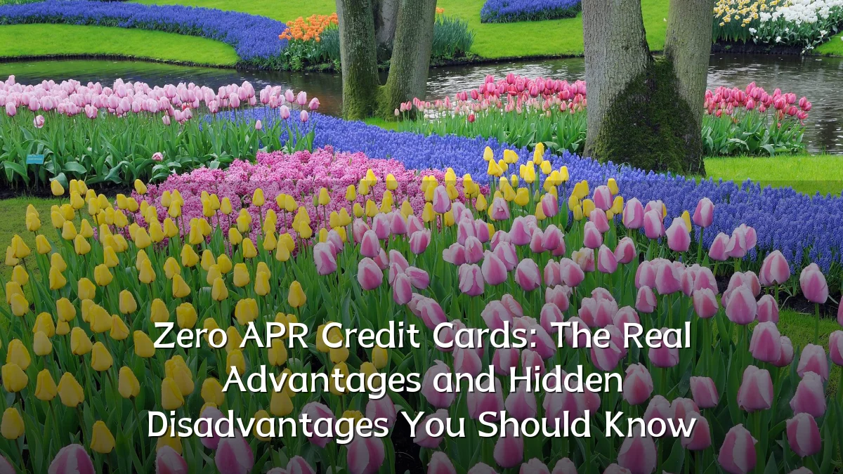 Zero APR Credit Cards: The Real Advantages and Hidden Disadvantages You Should Know