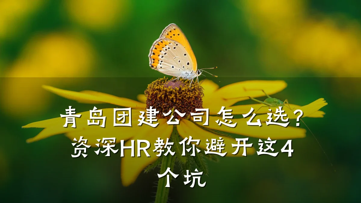 青岛团建公司怎么选?资深HR教你避开这4个坑
